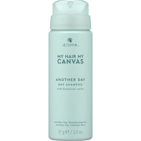 Alterna MHMC Another Day Dry Shampoo