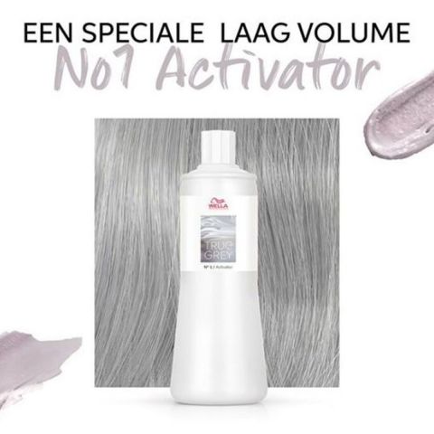 Wella - True Grey Activator - 500 ml