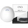 CND - LED Lamp for Shellac 2019