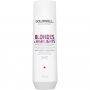 Goldwell - Dualsenses Blondes & Highlights - Anti-Yellow Shampoo