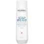 Goldwell - Dualsenses Scalp Specialist - Anti-Dandruff Shampoo - 250 ml