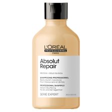 absolut repair shampoo