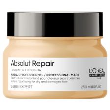 absolut repair mask